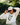 PNW Dad Hat